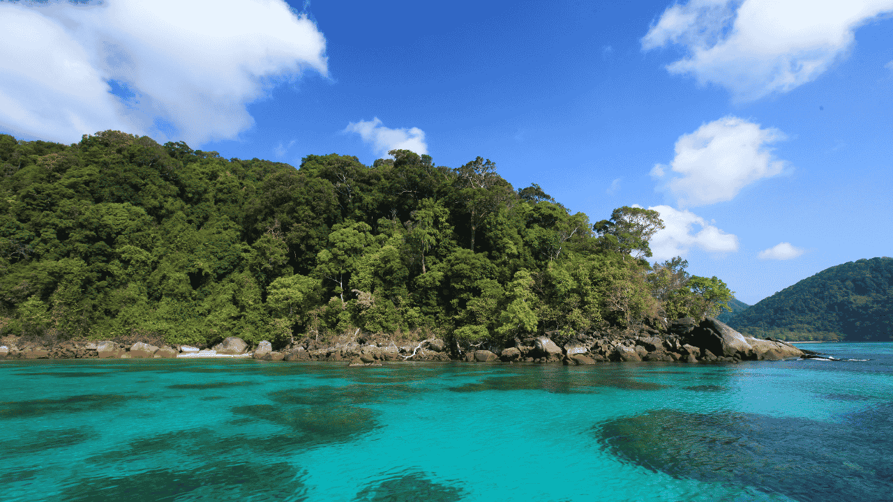 Nicobar Biosphere Reserve: A Hidden Natural Treasure of India